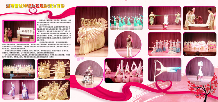 湖南必发365赞助燕赵·恒爱残疾人艺术团圆满演出