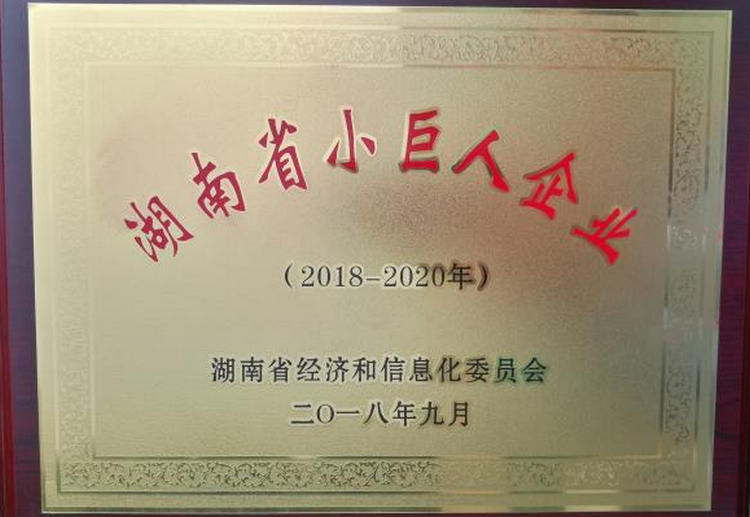 必发365(中国)兴趣网投天天必发