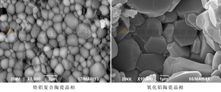 必发365(中国)兴趣网投天天必发